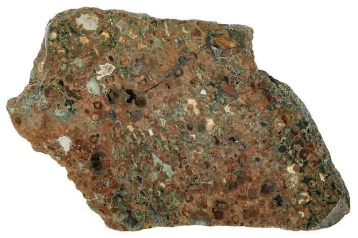 Polished Rainforest Jasper (Rhyolite) Slab - Australia #221938